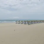 公寓 Estudio Arena, A Pie De Playa